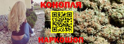 гашик Янаул